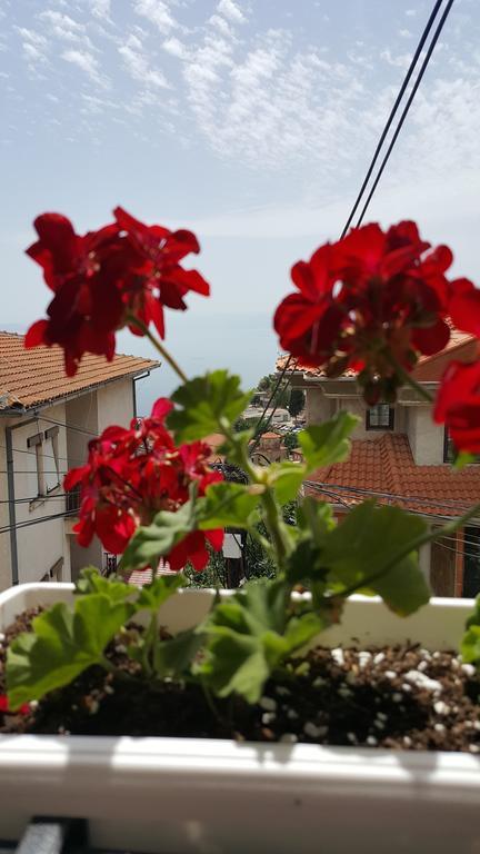 Villa Srma Ohrid Extérieur photo